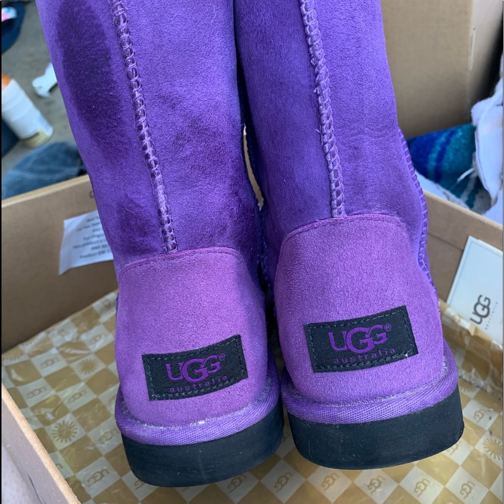 Classic short purple uggs